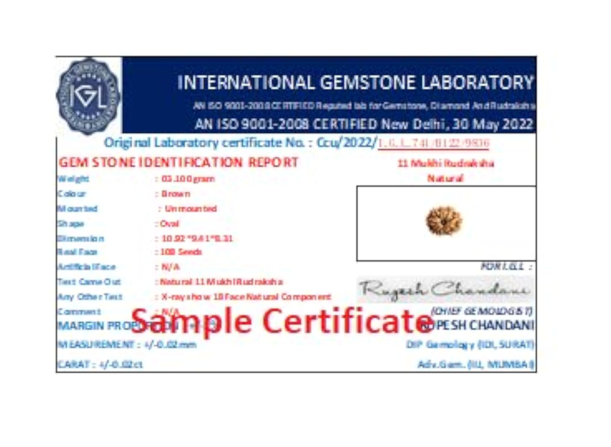 Genuine 11 Face Rudraksha Pendant Certified by Lab